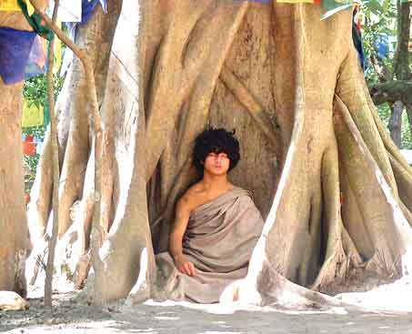 Buddha Boy is indeed