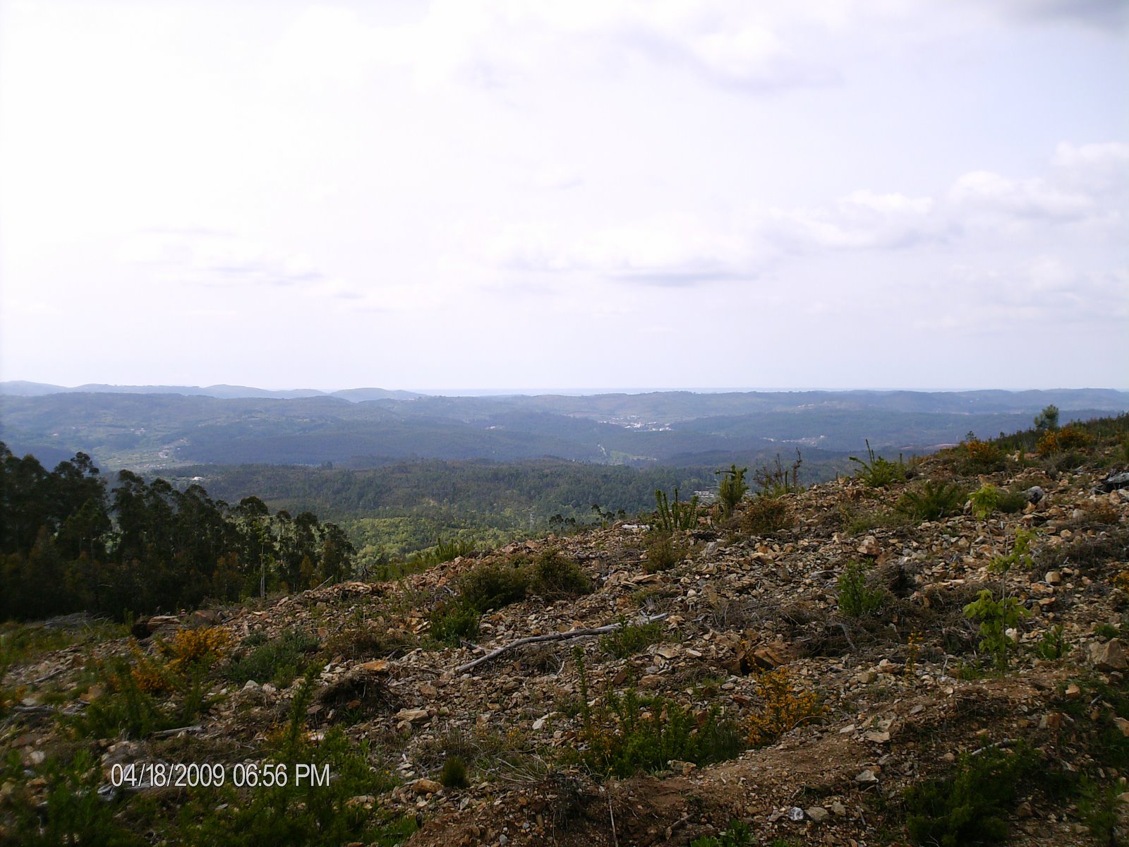 [HPIM0961.JPG]