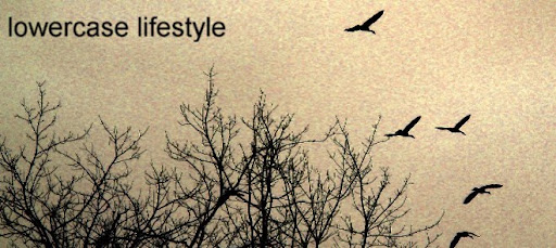 lowercase lifestyle