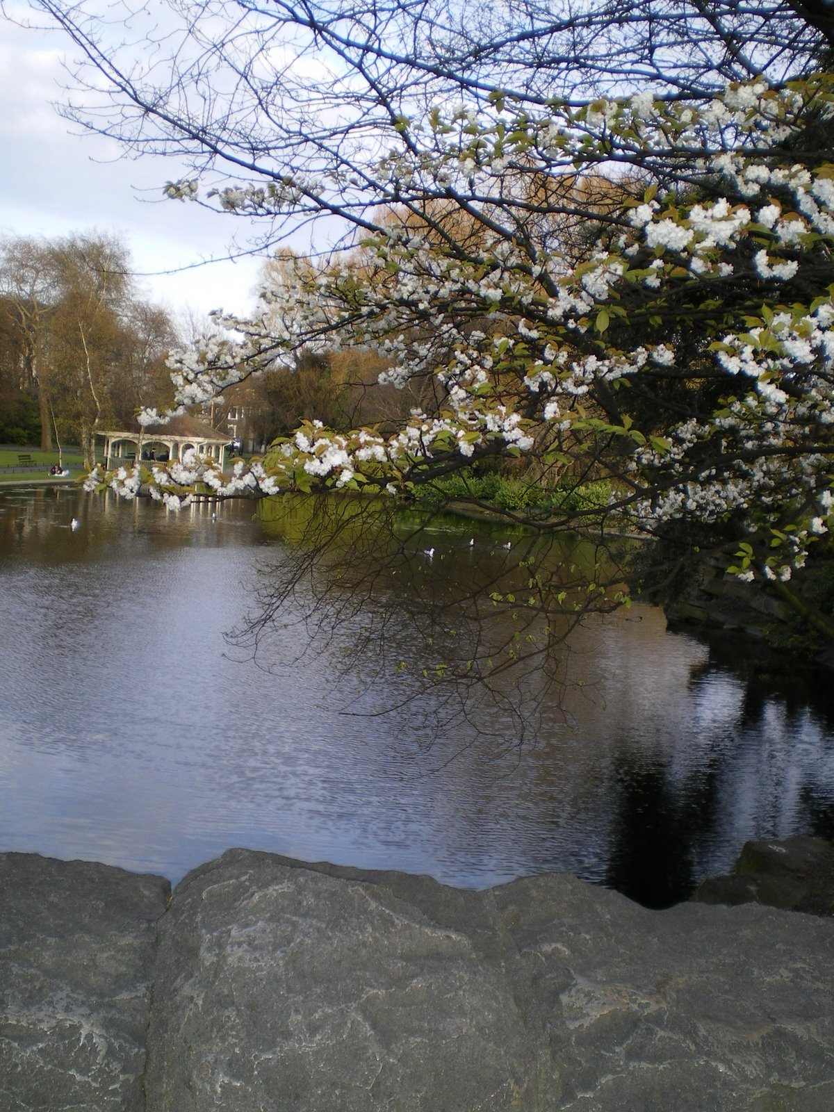 [IMGP0907.JPG]