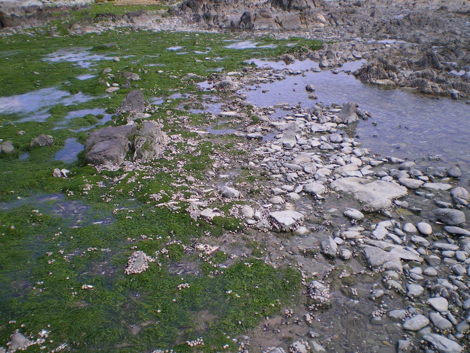 [IMGP0948.JPG]