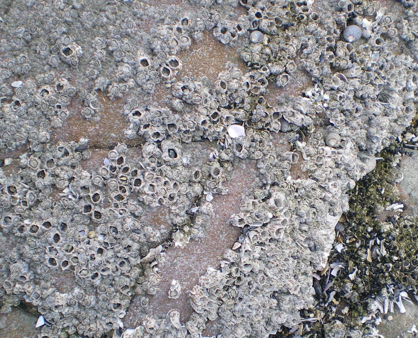 [IMGP0938.JPG]