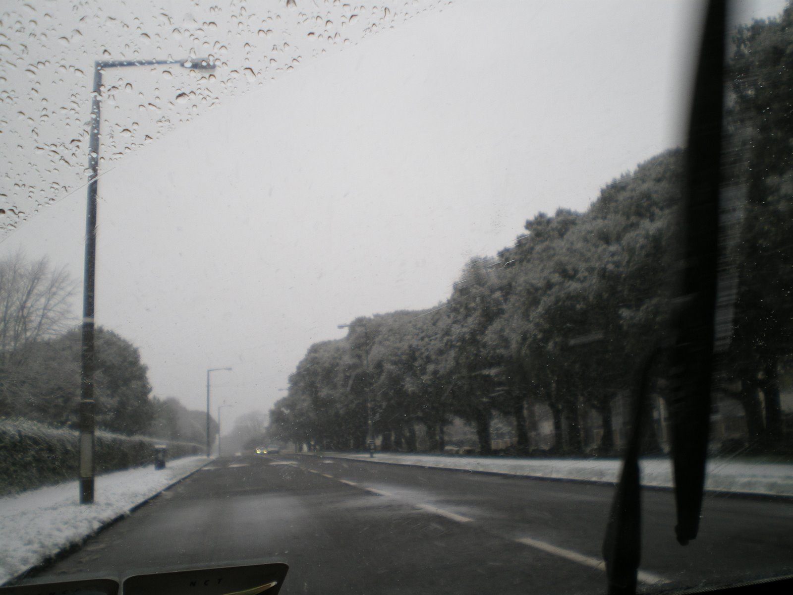 [IMGP2940.JPG]