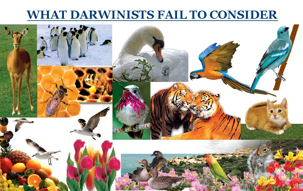 WHAT DARWINISTS FAIL TO CONSIDER