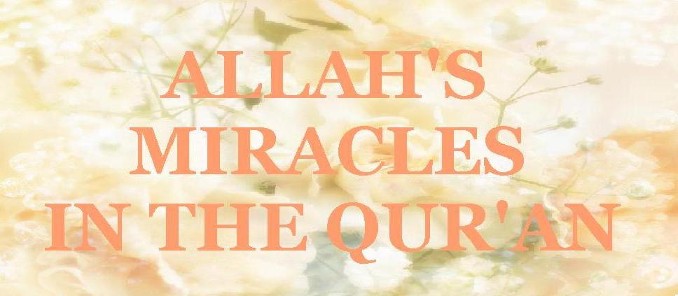ALLAH'S MIRACLES IN THE QUR'AN