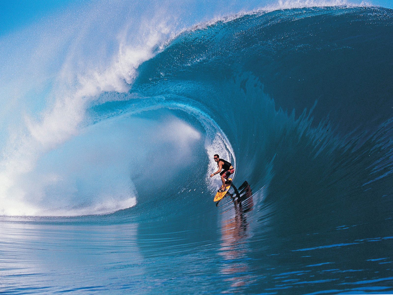 surf surf