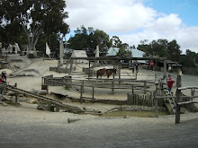 Sovereign Hill