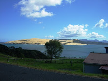 Dunes at Opononi