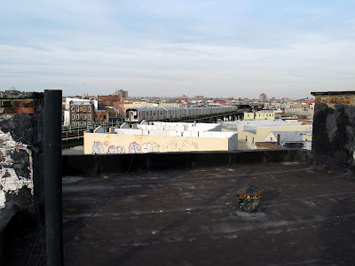 Bushwick Rooftop Container Vegetable Garden