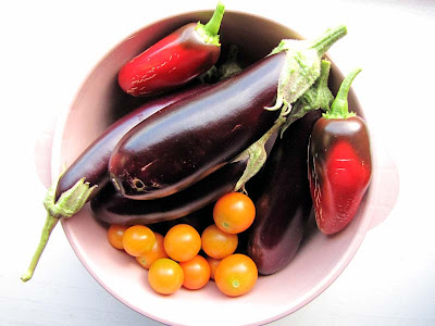 Rooftop Garden Vegetable Harvest