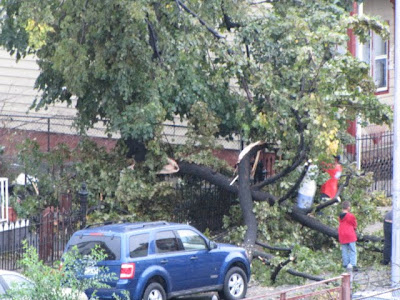 Bushwick, Brooklyn Tornado Damage