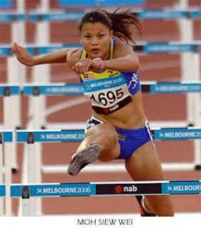 Lari Berpagar