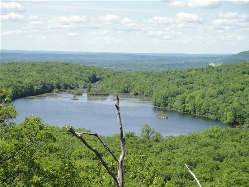 Gone Hikin Ramapo Mountain State Forest Nj