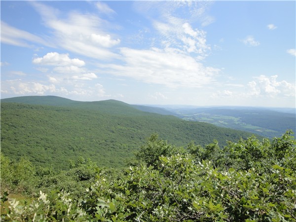 Mt Frissell Ct