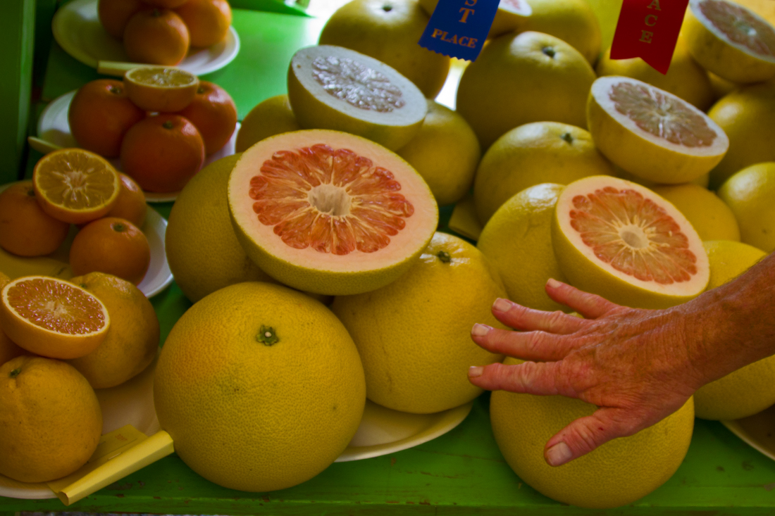 Huge Grapefruit