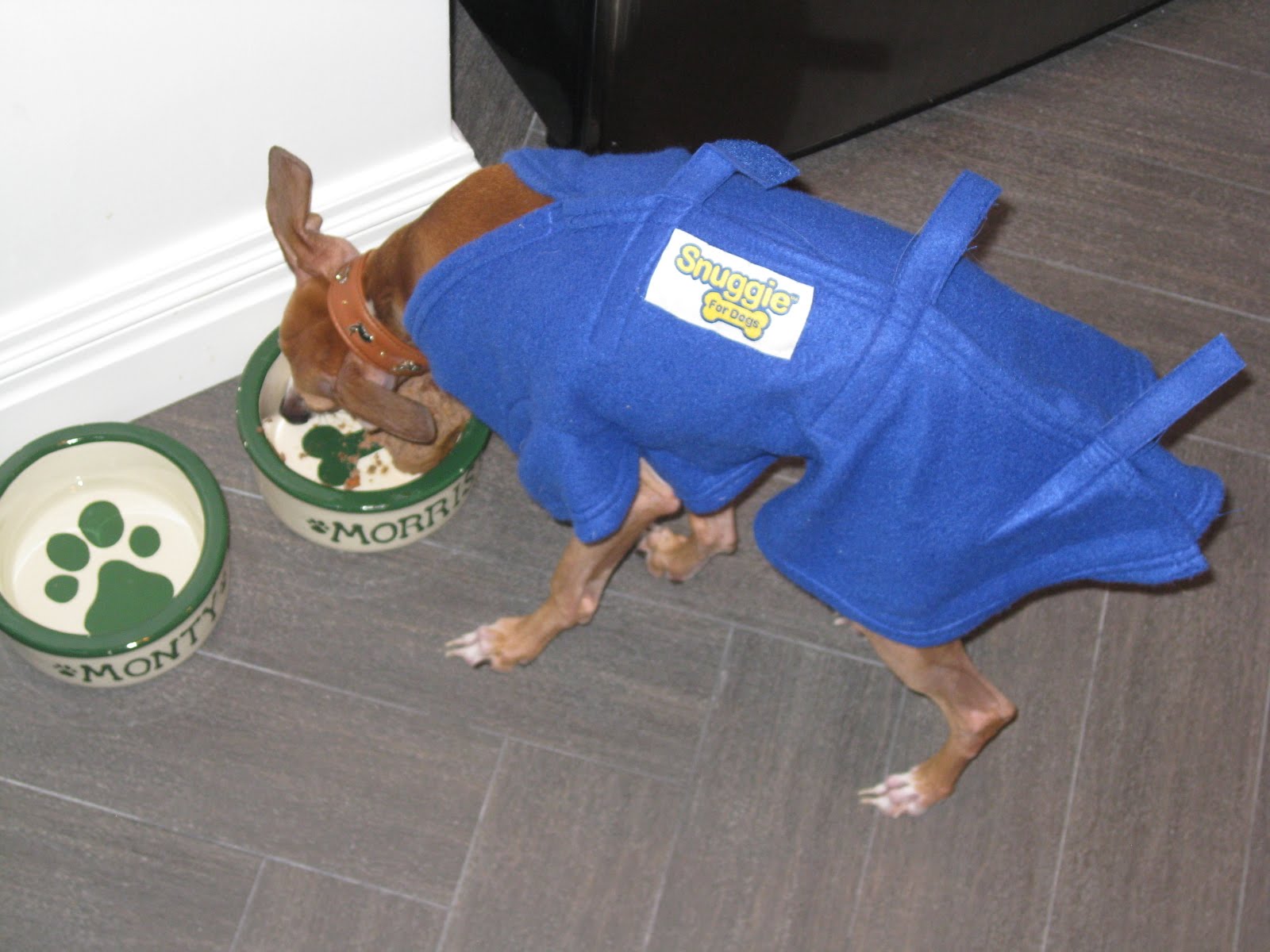 [2.JPG]