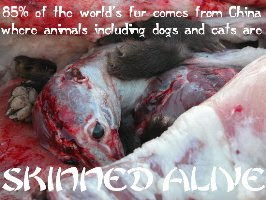 Animals Skinned
