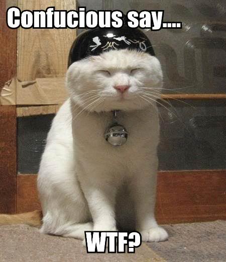 [confucious-say-wtf.jpg]