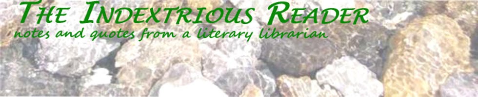 The Indextrious Reader