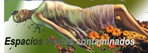 Bolsas plásticas: El problema ecológico de hoy.