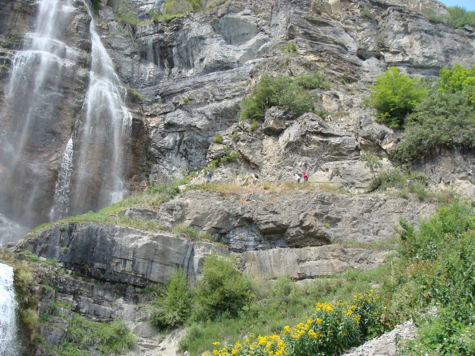 [DSC05528.JPG]