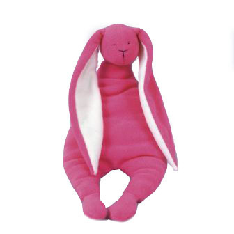 [finnsfindsbunny.jpg]