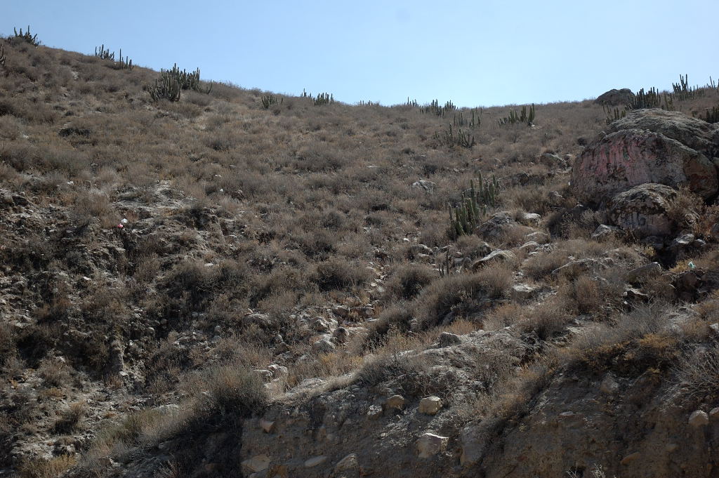 [Canyon+Canastero+habitat.JPG]