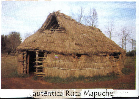 ruca mapuche