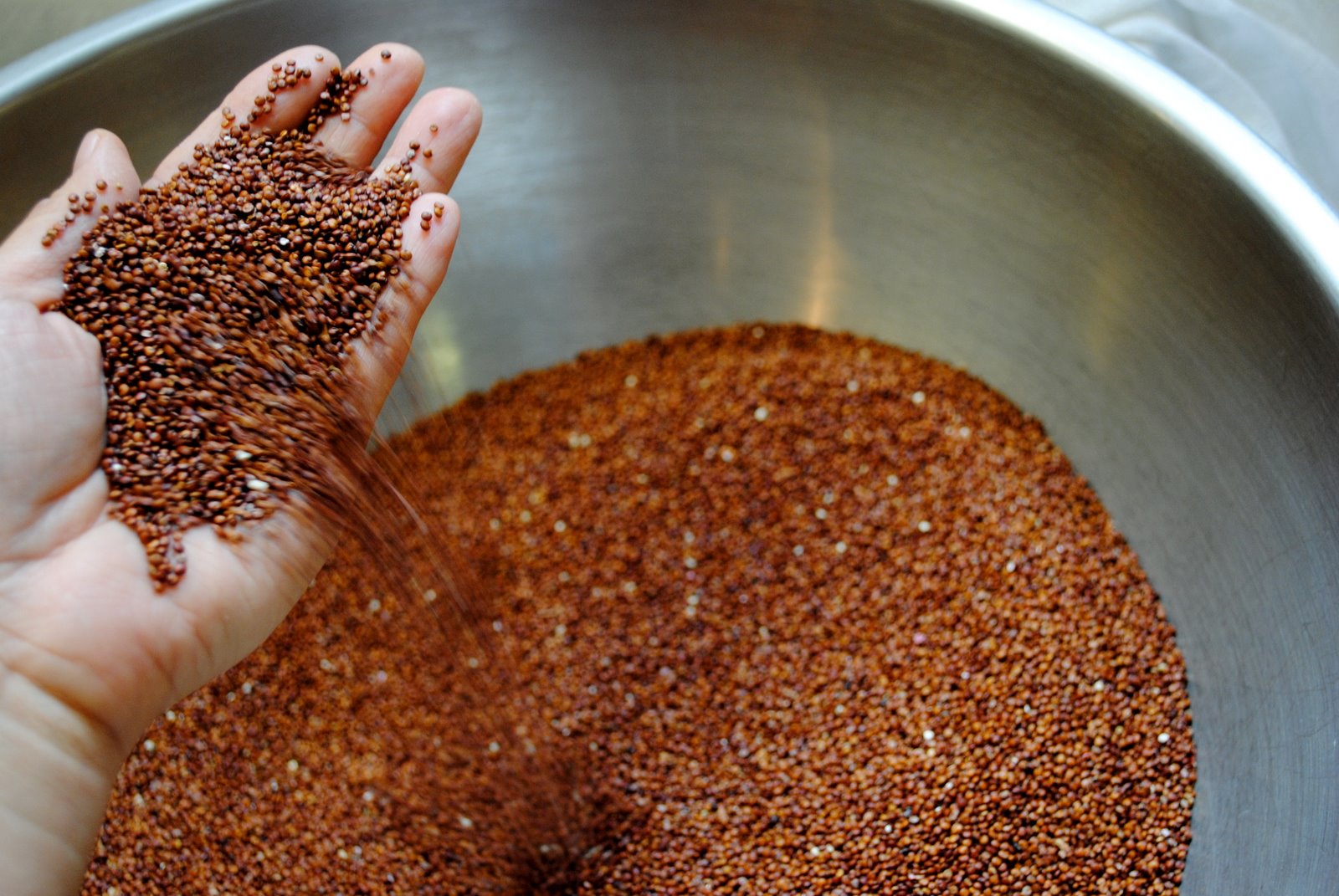 +The Church Cook Red Quinoa and Black Bean Salad