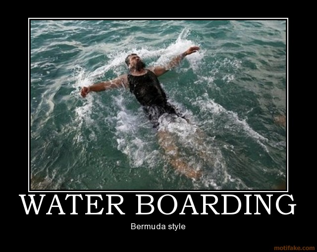 these pamphleteers if this is torture, sign me up for another one.