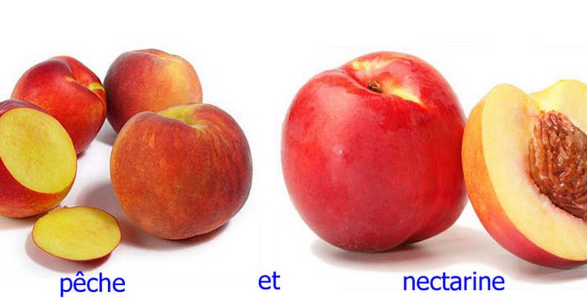 à la découverte des fruits et légumes pêche et nectarine