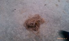 Boys haircut
