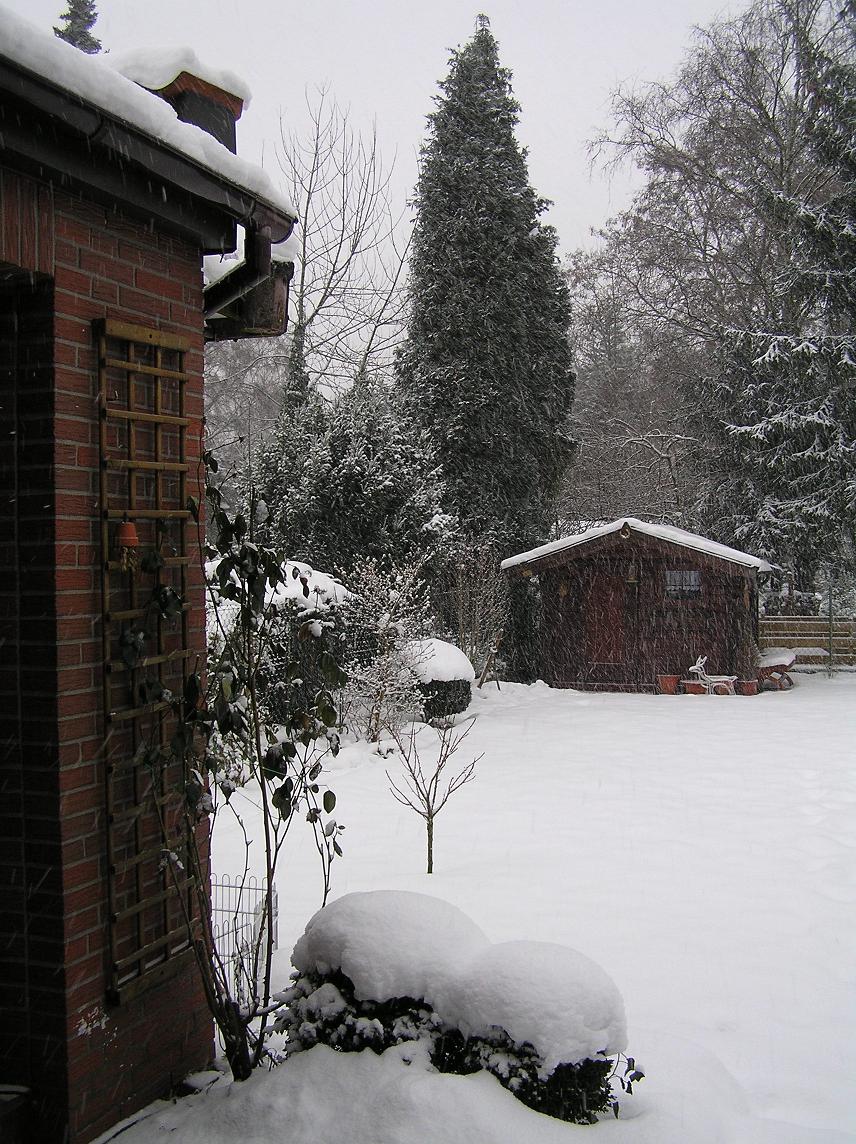 [schnee090110.JPG]
