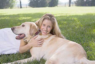 Sell Pet Insurance