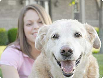 Pet Insurance in Canada
