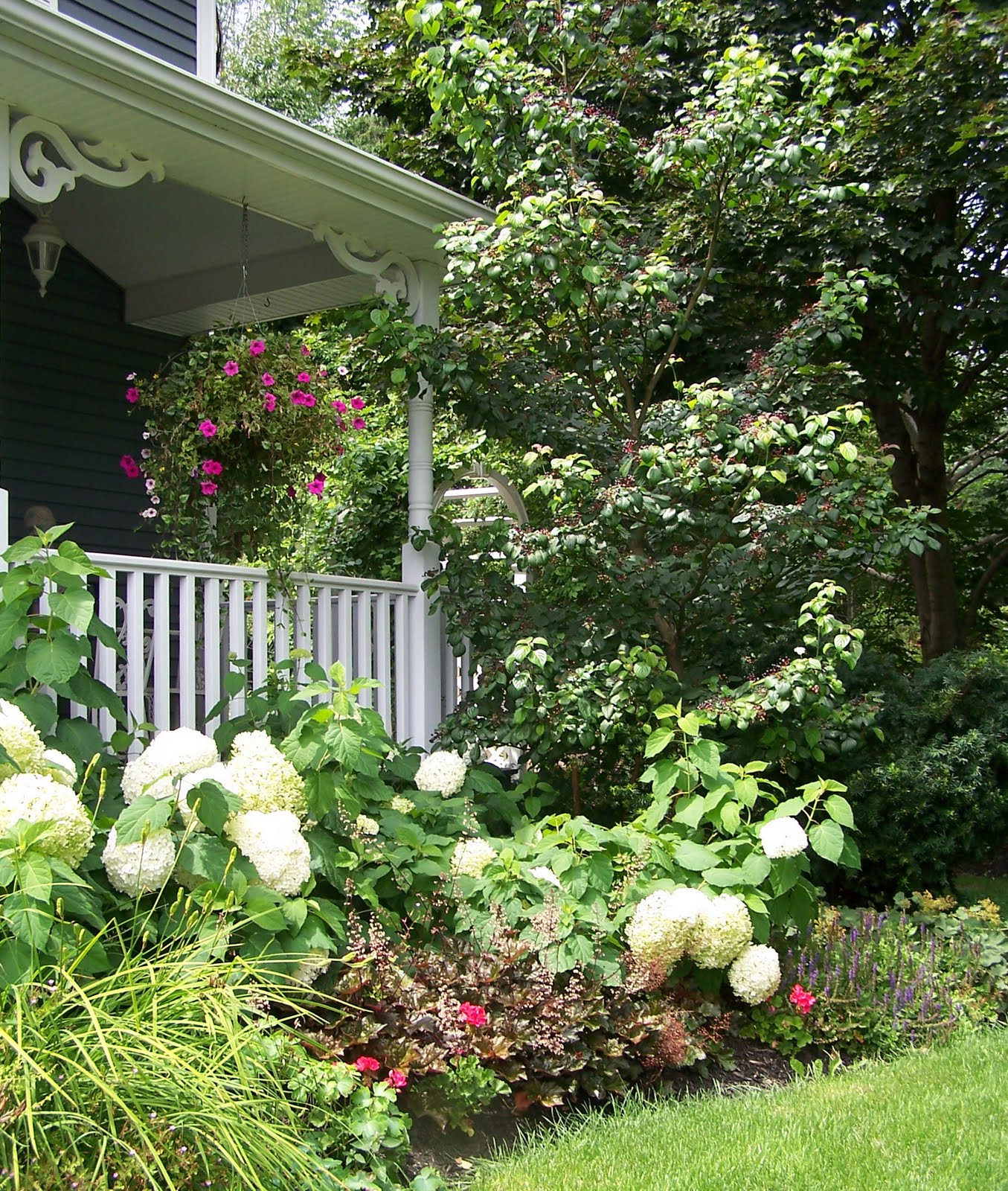Three Dogs in a Garden Pretty Front Garden, Glen Williams, Ontario