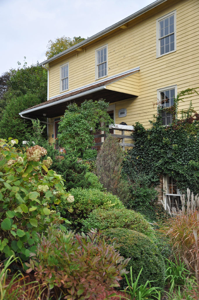 Three Dogs in a Garden Pretty Front Garden, Glen Williams, Ontario