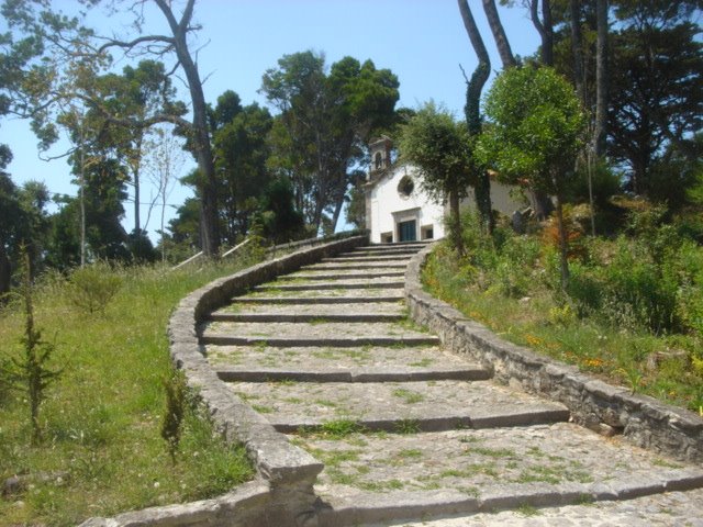 [AFIFE+DOS+MEUS+AMORES+(11).jpg]