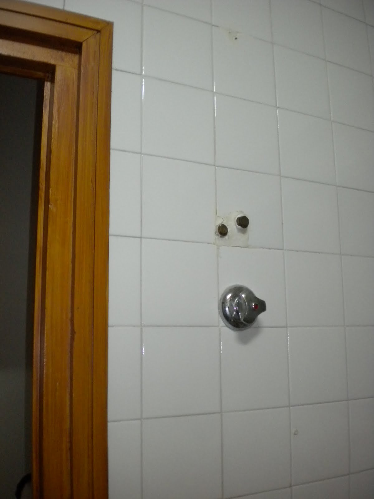 gelenmeyer: 08/01/2010 - 09/01/2010