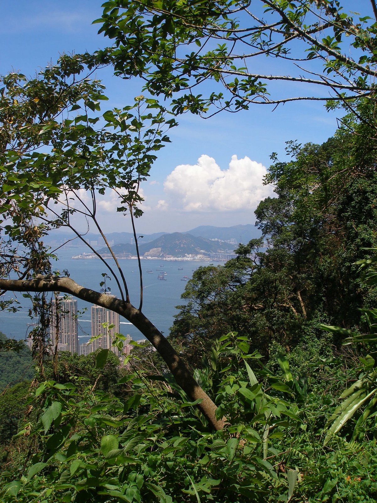 [Victoria+Peak+051.jpg]