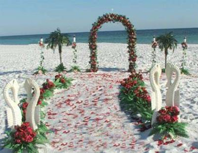 Unique Ideas For Your Beach Wedding Planning Your Own