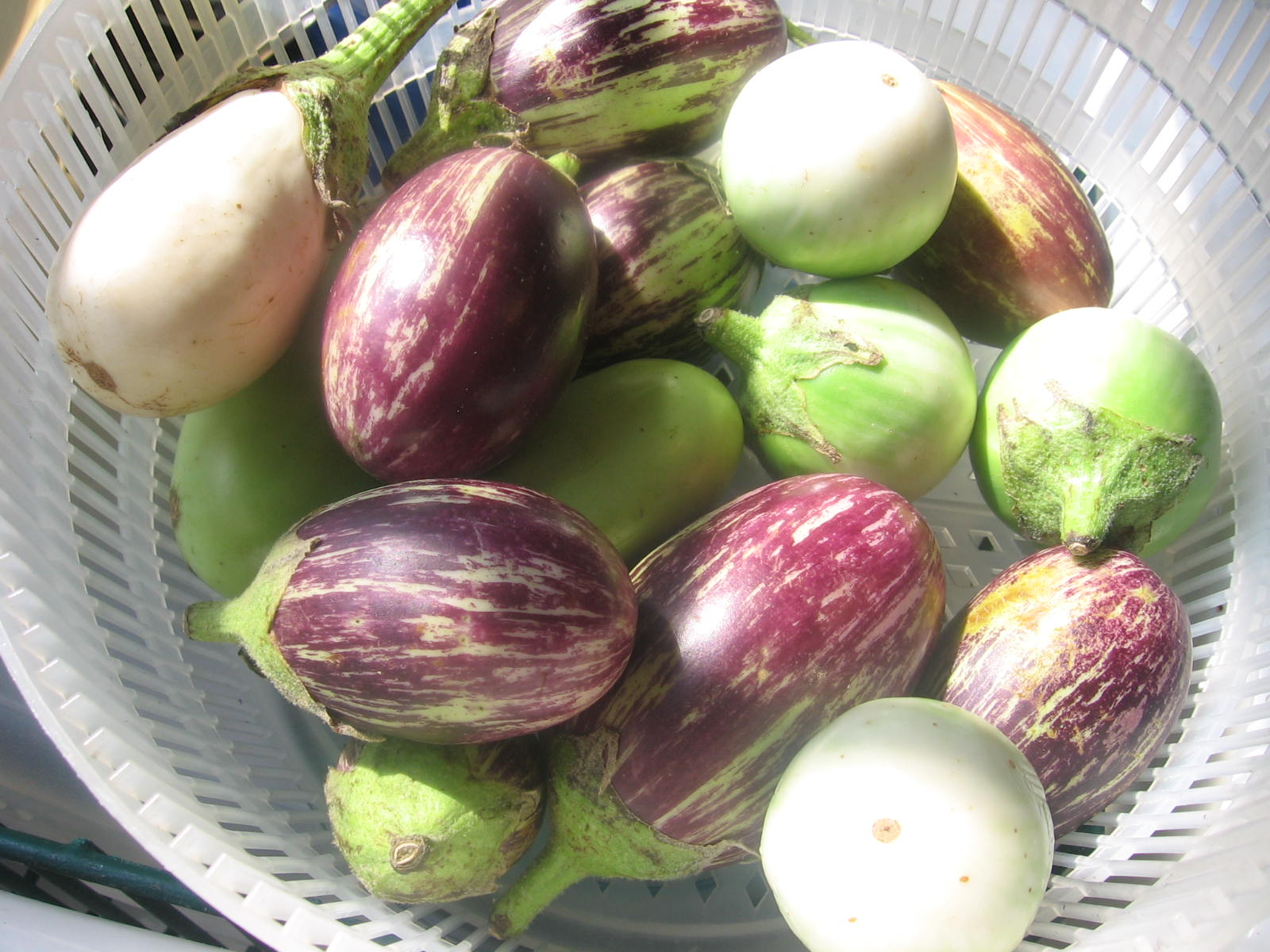 clean plate club Pickled Eggplant Two Ways