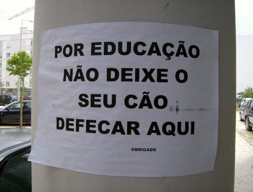 [HPIM0272.JPG]
