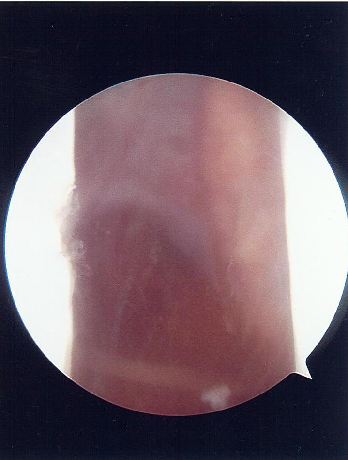 [scan0410.jpg]