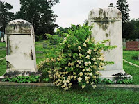 old tombstones
