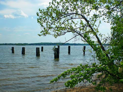 willcox wharf site