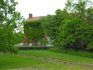 Woods House