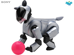 [aibo2.jpg]