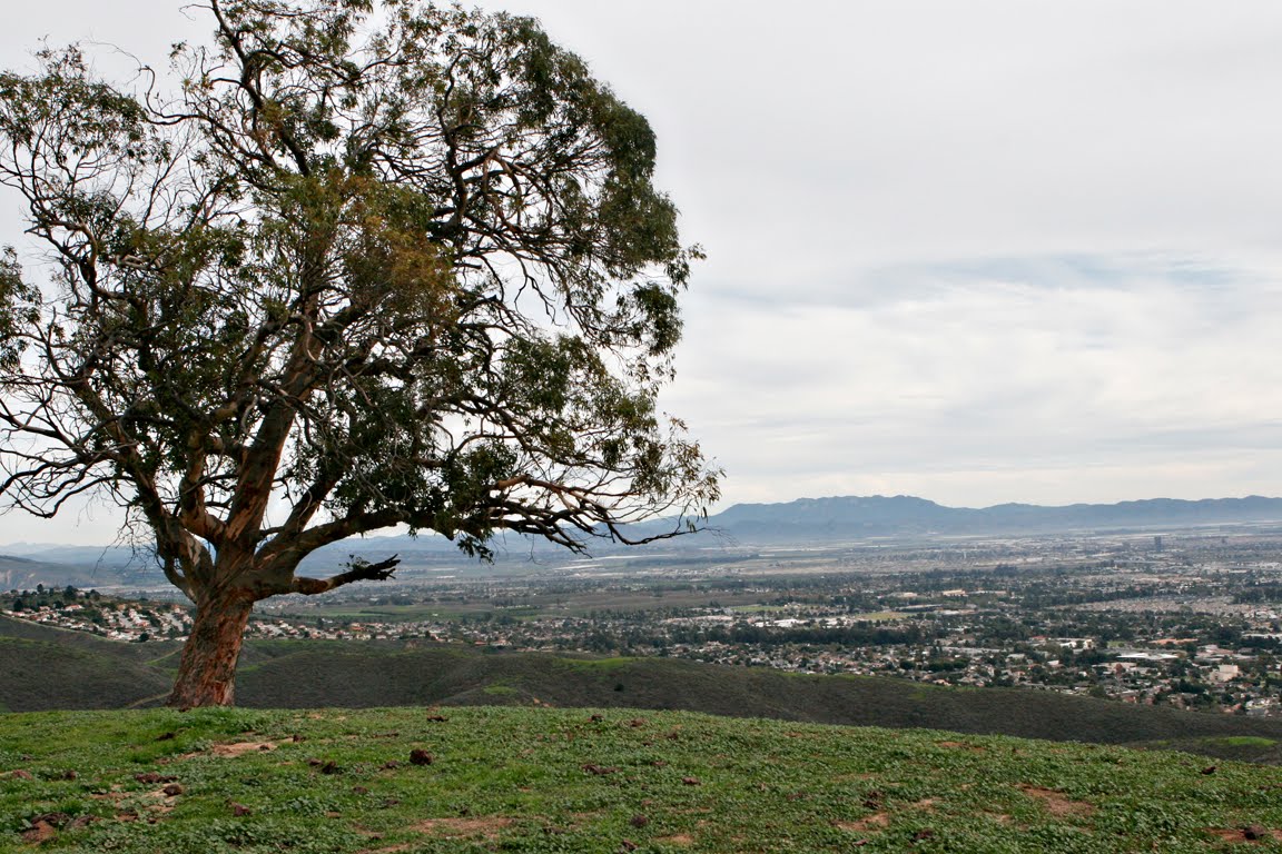 [_MG_5709+copy+copy.jpg]