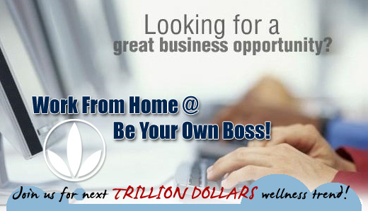 herbalife business opportunity flyer muco tadkanews co